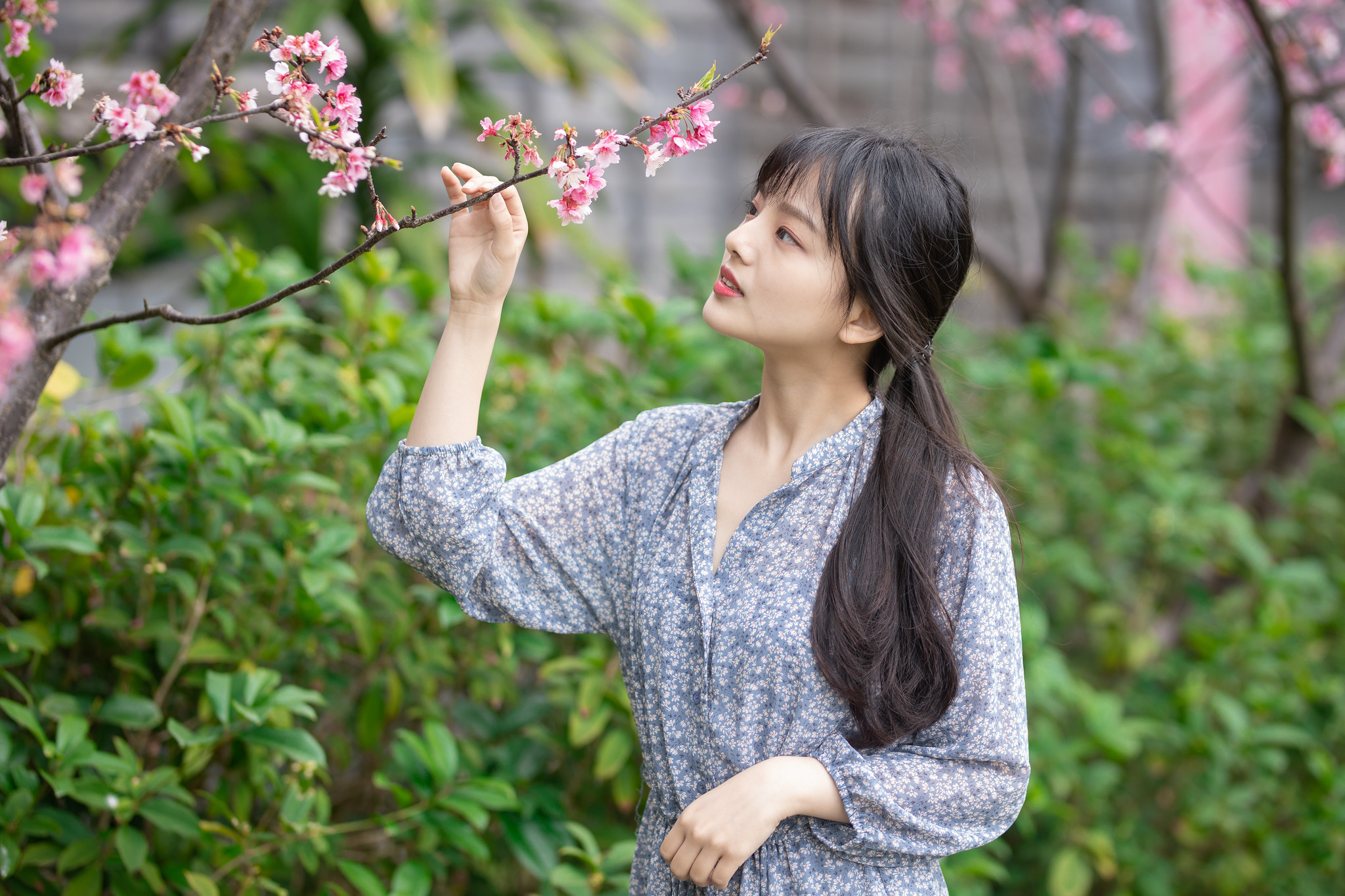 鄰家 女孩鄭宇岑