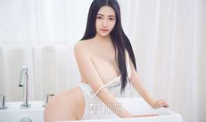 精忠報母