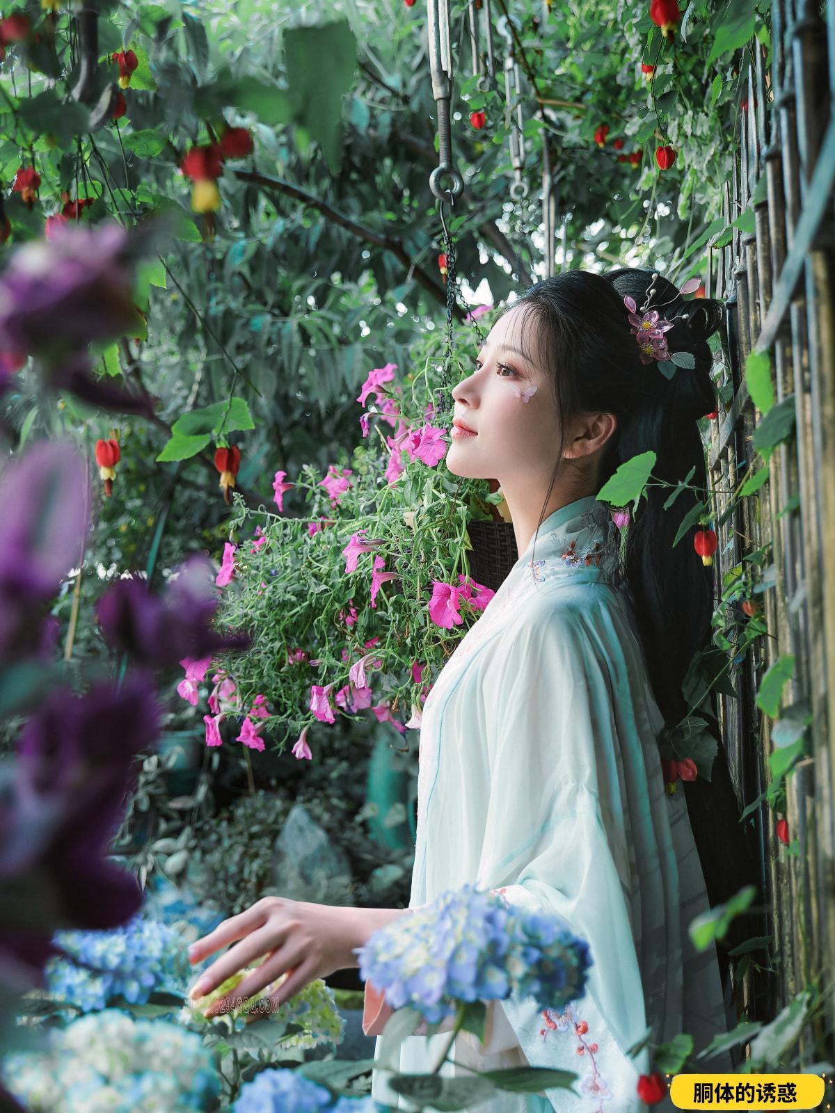 女菩薩年年