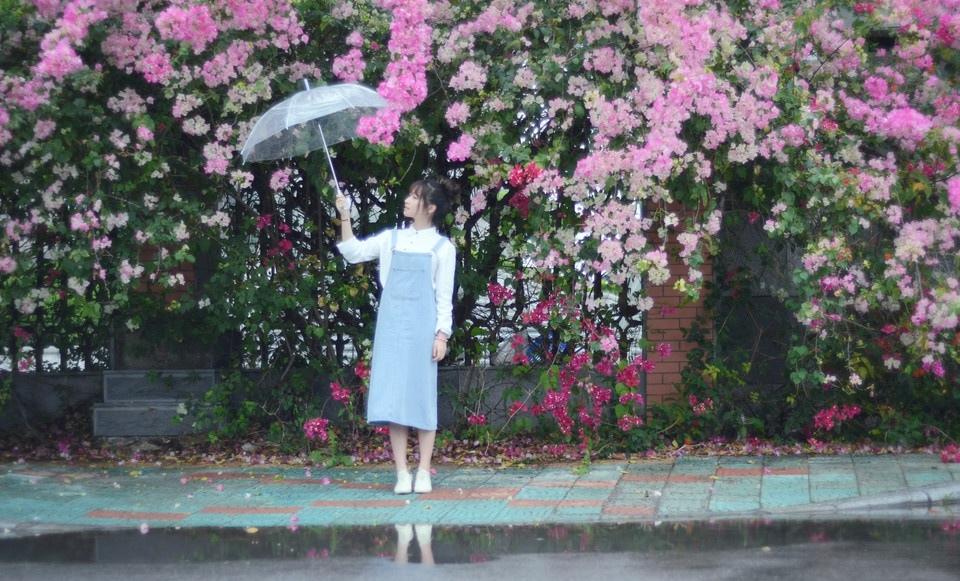 初夏雨后的清新時(shí)光寫(xiě)真