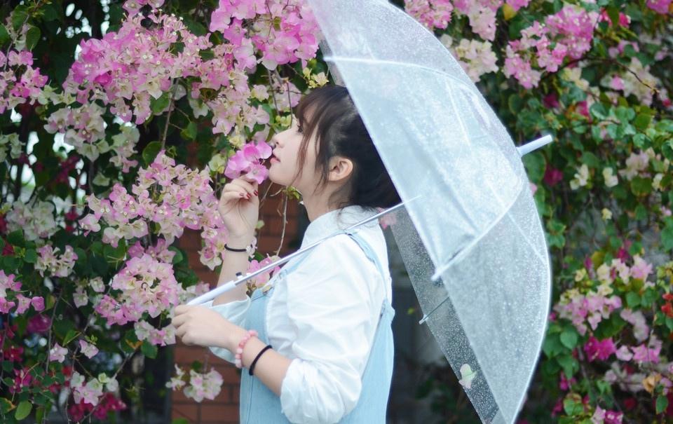 初夏雨后的清新時(shí)光寫(xiě)真