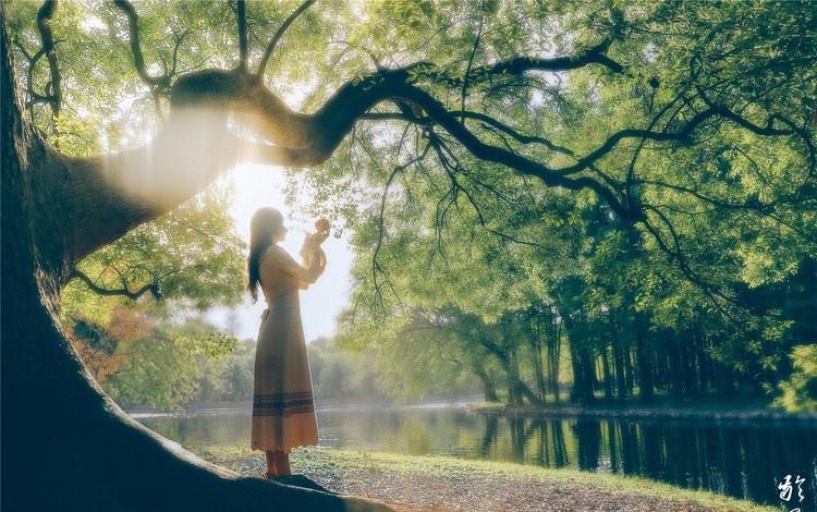 大樹下清純靈動美女手捧蘋果纖細(xì)身形圖片