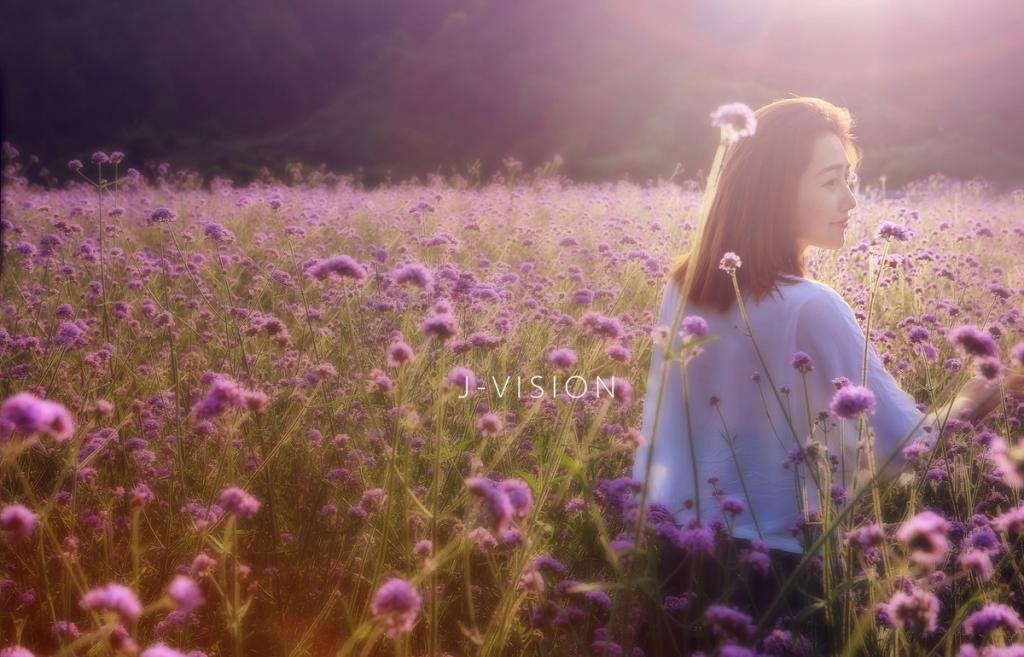 清純女孩花海從中最嬌艷性感美圖