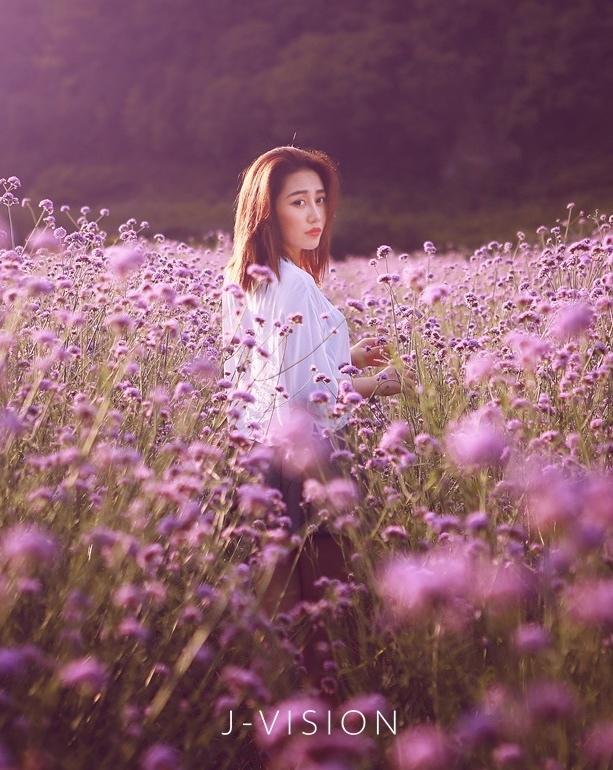清純女孩花海從中最嬌艷性感美圖