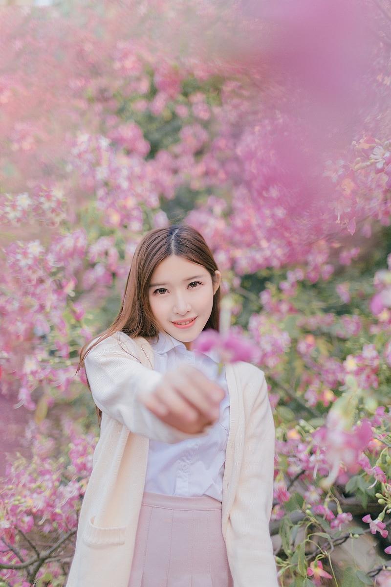 紫荊花開(kāi)