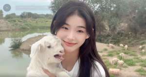 美女殺羊視頻(“噶羊少女”一夜爆火，驚呆4000w網友：沒想到下手竟然那么狠？)