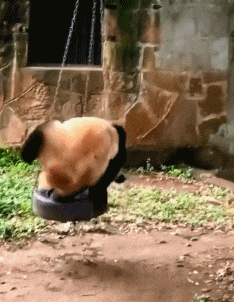 “妹子睡覺把腳伸我這，要給她點教訓嗎？”哈哈哈撓她的腳心才對