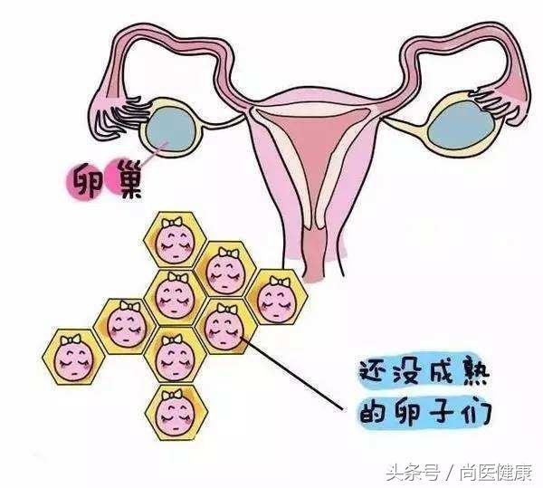 精卵結(jié)合｜穿越茫茫人海，只為遇到你