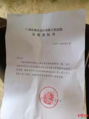 百香果女孩案(廣西“百香果女童”案庭前會議現新案情：楊光毅供述曾猥褻其他女孩)
