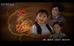 電視劇女人花(《女人花》：一場時代大背景下的愛情與陰謀、商戰與斗爭)