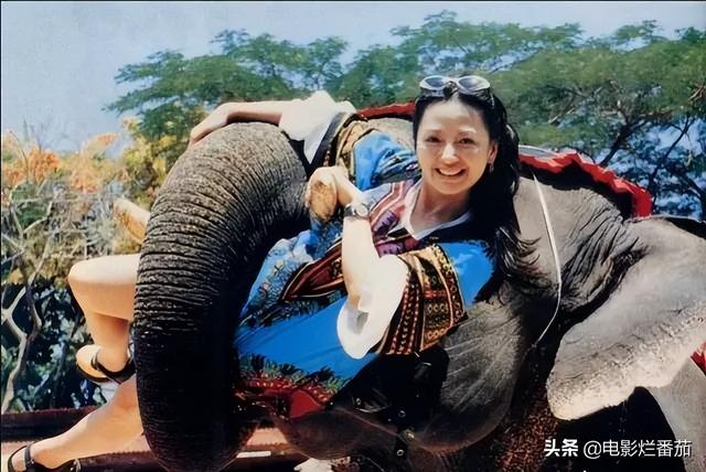 曾紅極一時,卻紅顏薄命的10位女星,每一位都令人惋惜