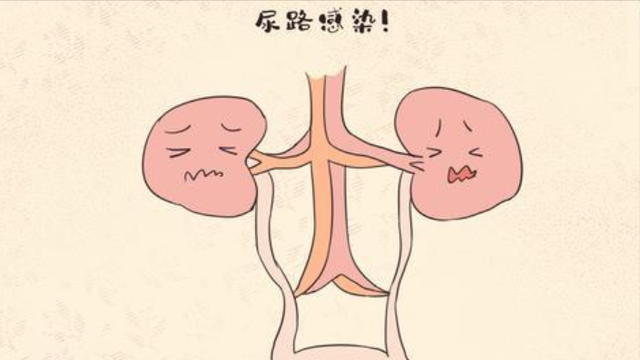 為什么女性下方會有異味？哪些異味要引起注意？醫生幫您分析