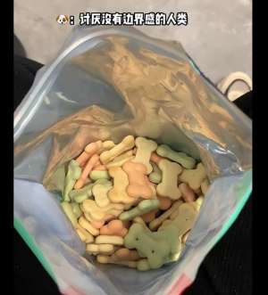 女人和狗(女子吃零食狗子一直盯著自己，低頭看后語塞了：我真不是故意的)