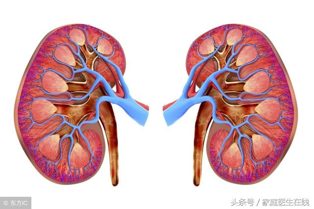 致女人：想要緩解腎虛？這2個(gè)方法請(qǐng)全部用上