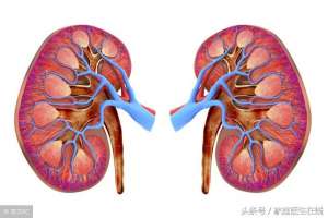 女人腎虛怎么辦(致女人：想要緩解腎虛？這2個方法請全部用上)