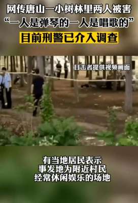 西紅柿女孩(唐山又出現小樹林事件，兩人遇害)