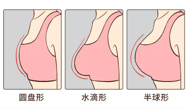 原來女生的胸部形狀有那么多種？東亞女性胸部偏小真是基因所致？