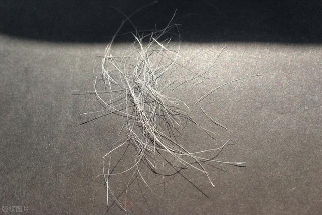 陰毛有啥用?要刮掉嗎?由黑變白預示著什么?別害羞,不妨看看