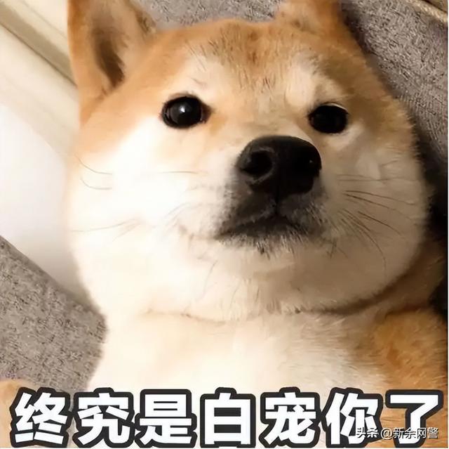 辣眼睛！網上招嫖團伙“女神”真容曝光