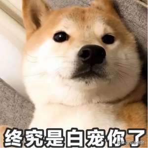美女曝光小游戲(辣眼睛網(wǎng)上招嫖團伙“女神”真容曝光)