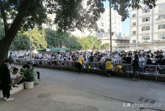 深圳打工者：好不容易進女孩子多的工廠，發現她們要求都好高