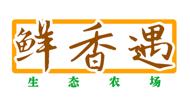 黑豬肉，回味豬肉的“老味道”