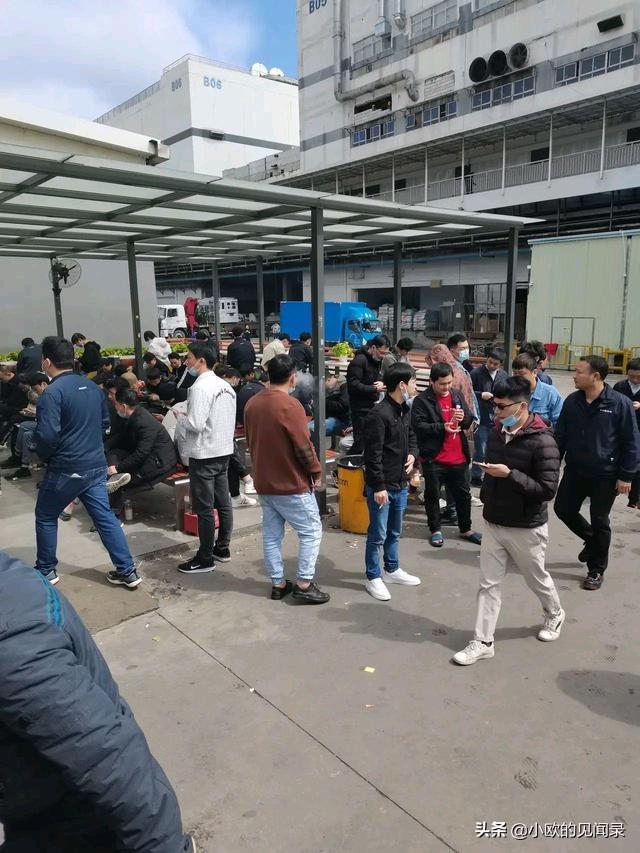 深圳打工者：好不容易進女孩子多的工廠，發現她們要求都好高