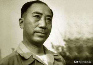 戴笠的女人(軍統之花向影心：為毛人鳳生下8個孩子，戴笠死后，被送入瘋人院)