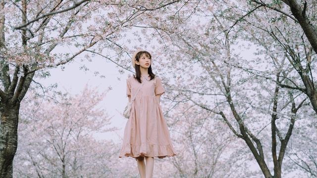 高顏值極品美女優(yōu)雅氣質(zhì)魅力寫(xiě)真