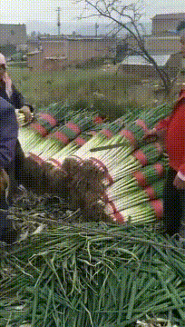 “妹子睡覺把腳伸我這，要給她點教訓嗎？”哈哈哈撓她的腳心才對