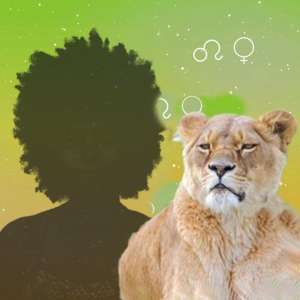 獅子座女生(獅子座的女人是一個富麗堂皇的母獅，無論從哪方面來看都是女王)