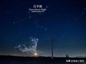 白羊座女生性格特點(白羊座——它和它的性格)
