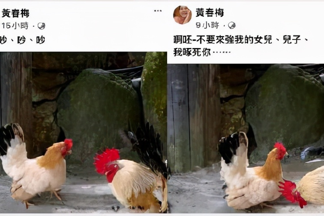 是愛(ài)是沖動(dòng)還是戀愛(ài)腦!2次閃婚的大S,又掉坑了