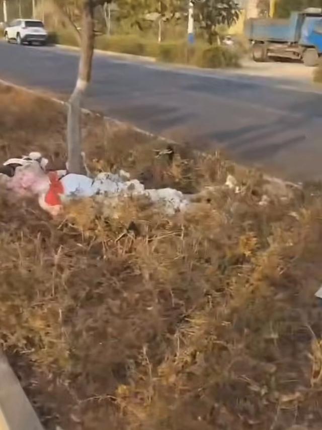 又有美女網紅騎手車禍去世！現場一片狼藉好慘烈，生前不聽人勸阻