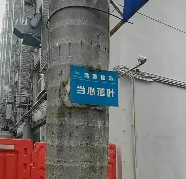 冷笑話(一)