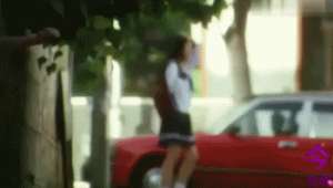 女人叫春(愛情動物行為學)