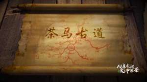 官路女人香未刪減版下載(人在草木間丨追逐千年前茶馬古道上的馬蹄印)
