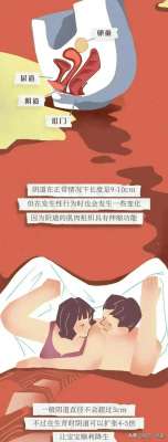女生殖器官圖(女生要了解的“陰道”知識，男人要保護好自己心愛的女孩)