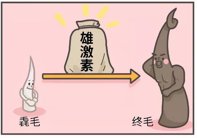 女生為什么也有那么多體毛??？