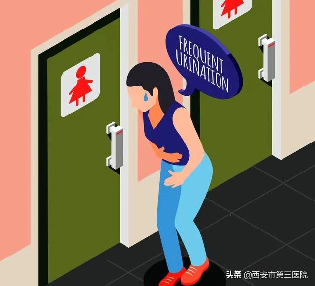 女性健康｜為何女性也會尿頻？