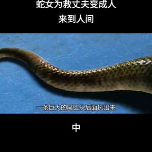 我居然變成了女生(蛇女為救丈夫變成人形來(lái)到人間)
