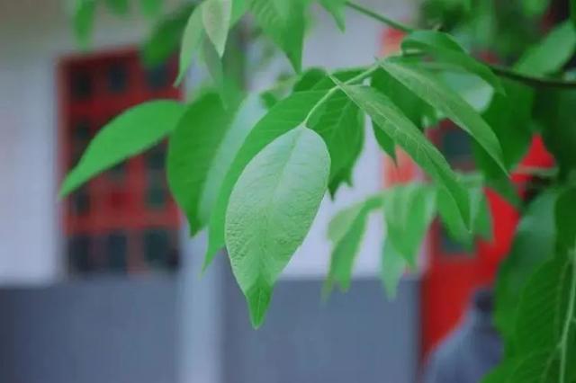 湖南少婦每月10次帶流浪漢回家發(fā)生關(guān)系，丈夫死不離婚