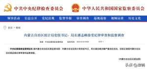 美女局長(內蒙正廳級“美女局長”被查，超“完美”履歷，信息量有些大)