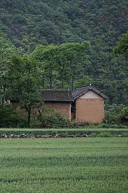 26歲云南農(nóng)村美女，父母離婚后她當過保姆，靠維修機電漲粉800萬