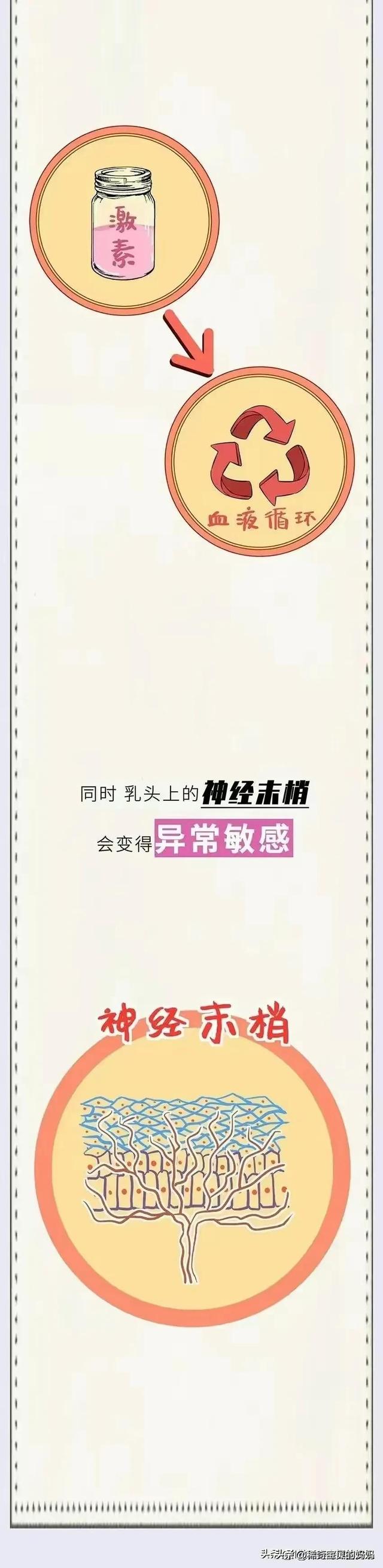 第一次性生活后，女生的身體會發生哪些變化？（漫畫）