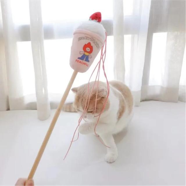 實不相瞞,我們這些養寵人士很想收到這樣的禮物!