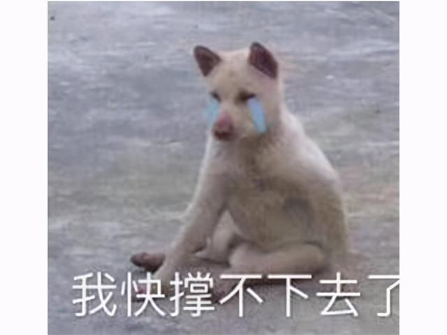 黃圖警告!賽博朋克2077上次跳票引發30萬退款,這次又來?