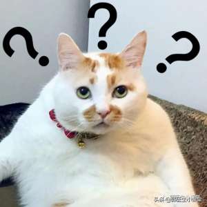 男人的精子女人能吃嗎(精液真能美容？大補(bǔ)？那玩意能吃嗎？)