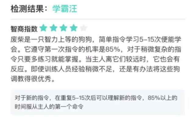 實不相瞞,我們這些養寵人士很想收到這樣的禮物!