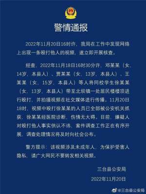 女人打架(3名女生毆打13歲同校女生，警方再通報)